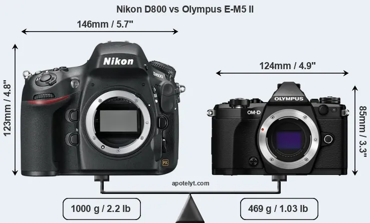 Size Nikon D800 vs Olympus E-M5 II