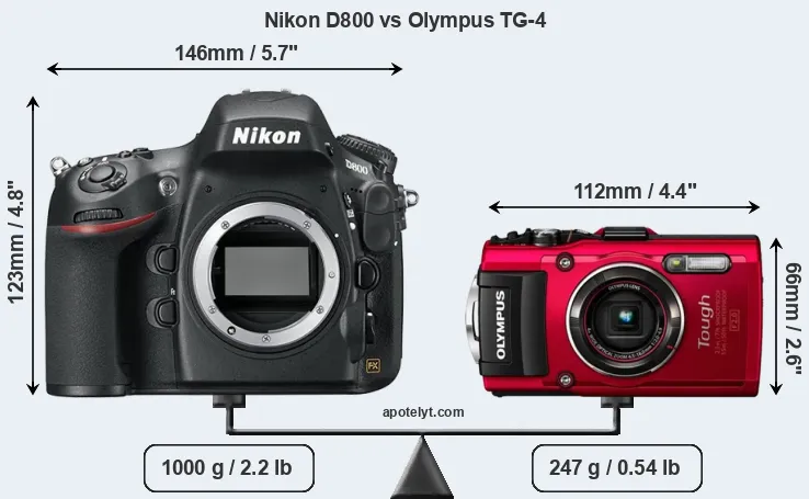 Size Nikon D800 vs Olympus TG-4