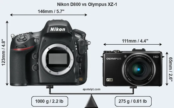 Size Nikon D800 vs Olympus XZ-1