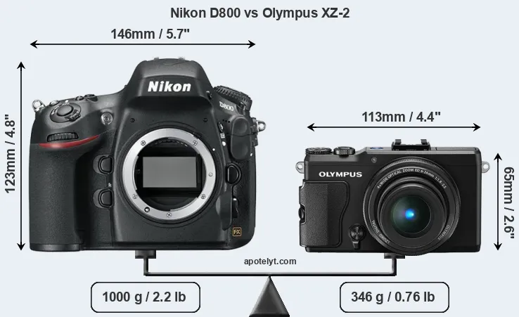 Size Nikon D800 vs Olympus XZ-2