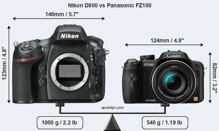 Size Nikon D800 vs Panasonic FZ100
