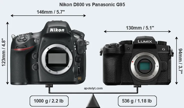 Size Nikon D800 vs Panasonic G95