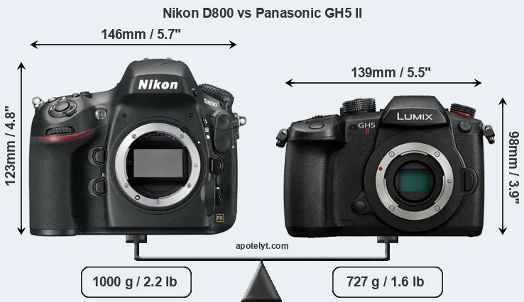 Size Nikon D800 vs Panasonic GH5 II