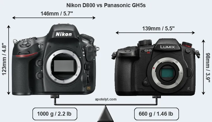 Size Nikon D800 vs Panasonic GH5s