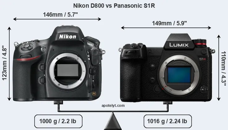 Size Nikon D800 vs Panasonic S1R