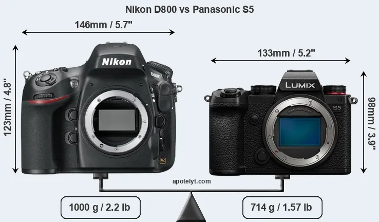 Size Nikon D800 vs Panasonic S5