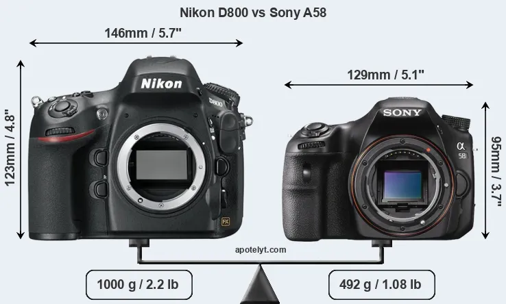 Size Nikon D800 vs Sony A58