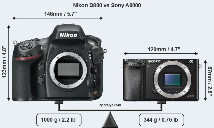 Size Nikon D800 vs Sony A6000