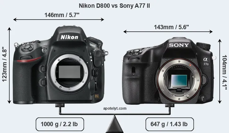 Size Nikon D800 vs Sony A77 II