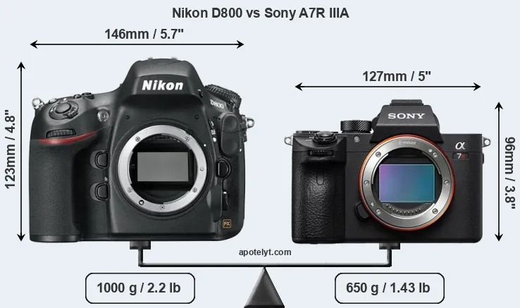 Size Nikon D800 vs Sony A7R IIIA