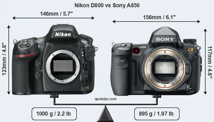 Size Nikon D800 vs Sony A850
