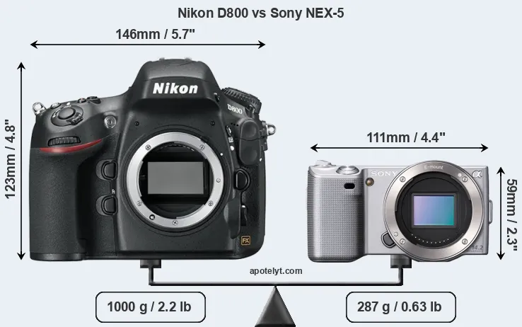 Size Nikon D800 vs Sony NEX-5