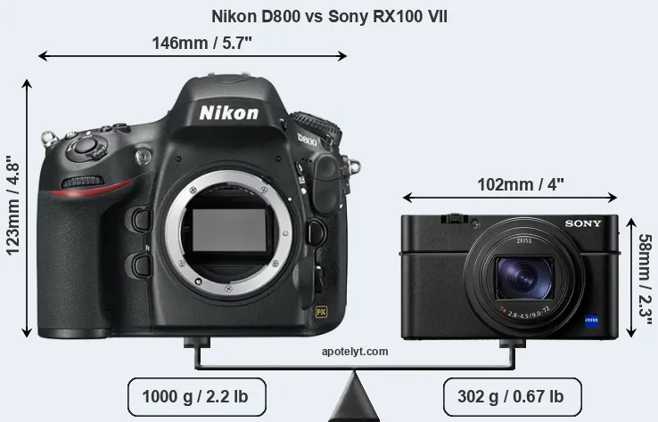 Size Nikon D800 vs Sony RX100 VII