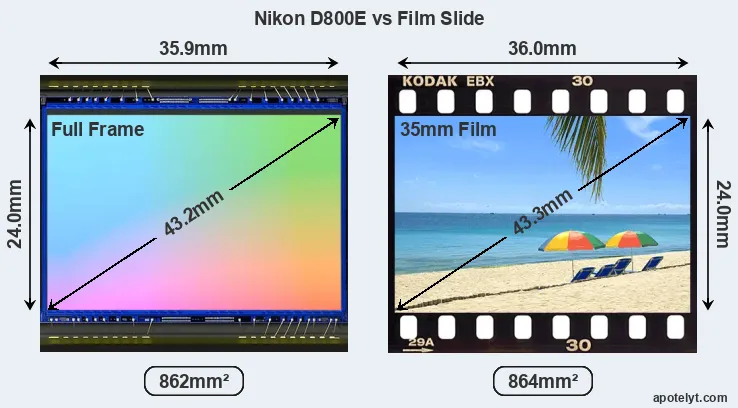 Nikon D800E and Credit Card sensor measures