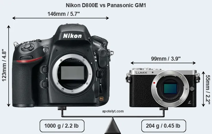 Size Nikon D800E vs Panasonic GM1