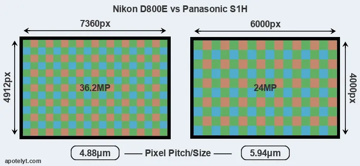 D800E versus S1H MP