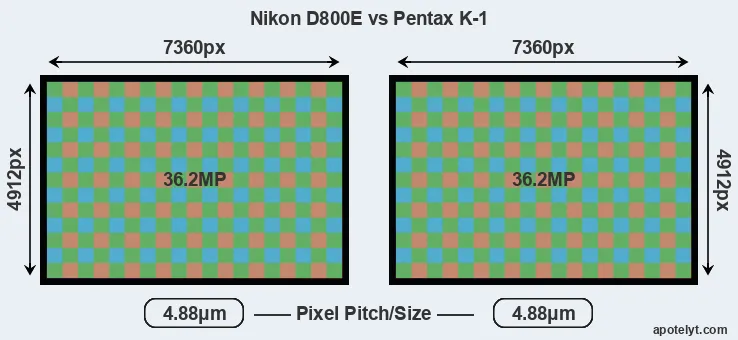 D800E versus K-1 MP