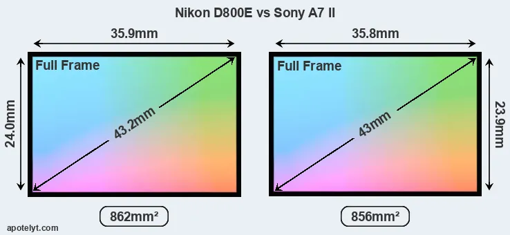 Nikon D800E and Sony A7 II sensor measures