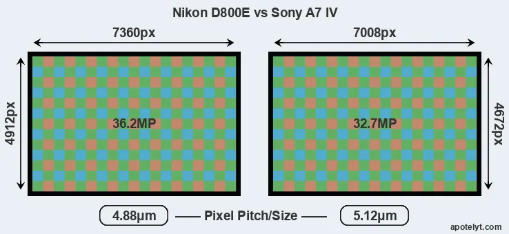 D800E versus A7 IV MP