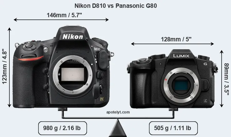 Size Nikon D810 vs Panasonic G80