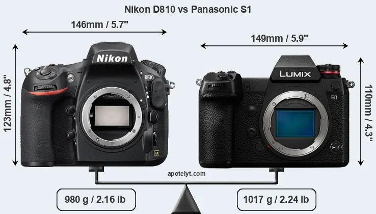 Size Nikon D810 vs Panasonic S1