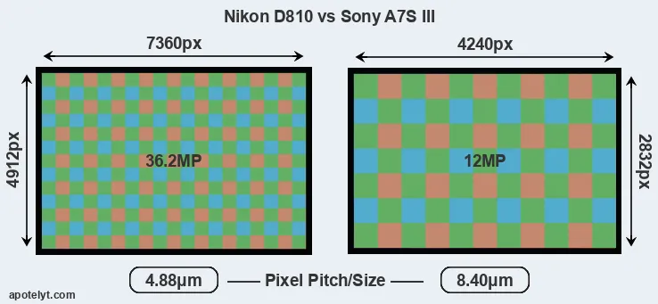 D810 versus A7S III MP