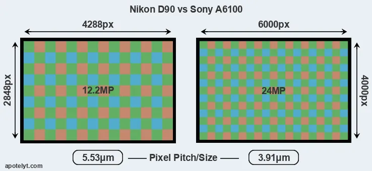 D90 versus A6100 MP
