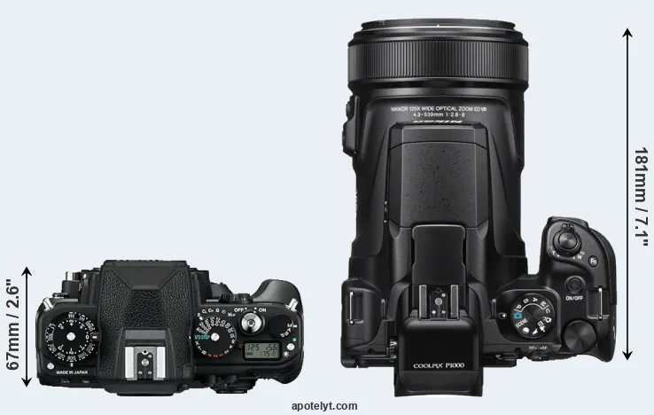 Compare Df versus P1000 top