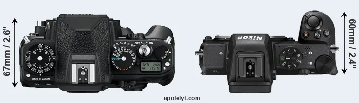 Compare Df versus Z50 top
