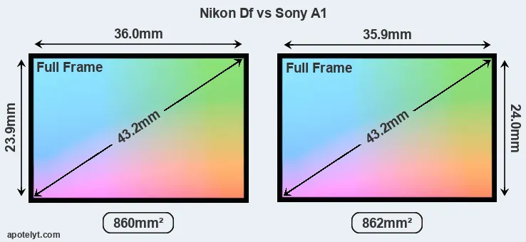 Nikon Df and Sony A1 sensor measures