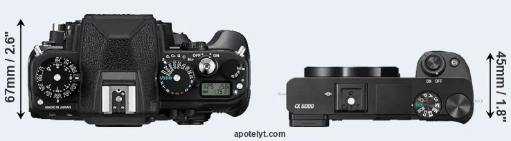 Compare Df versus A6000 top