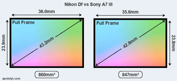 Nikon Df and Sony A7 III sensor measures
