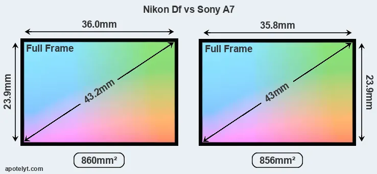 Nikon Df and Sony A7 sensor measures