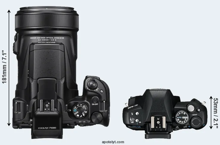 Compare P1000 versus E-420 top