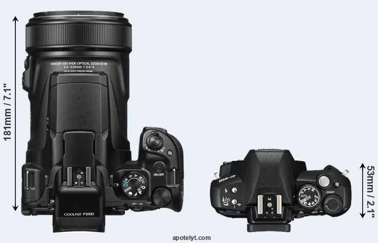 Compare P1000 versus E-450 top