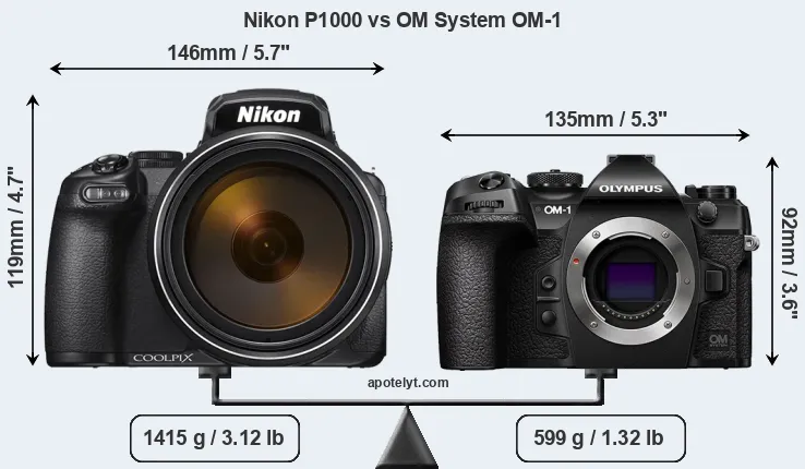 Size Nikon P1000 vs OM System OM-1