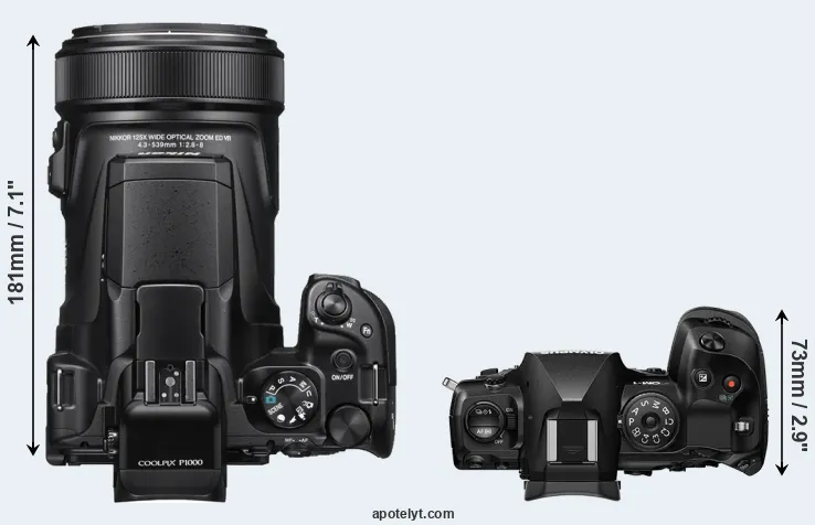 Compare P1000 versus OM-1 top