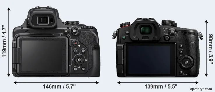 Comparison P1000 or GH5s rear
