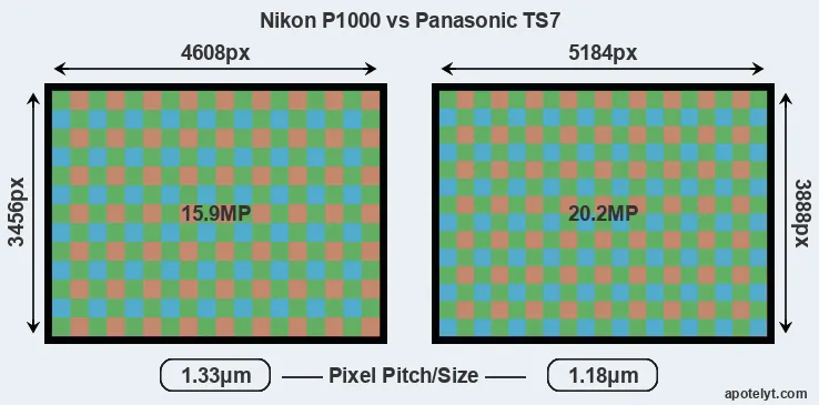 P1000 versus TS7 MP