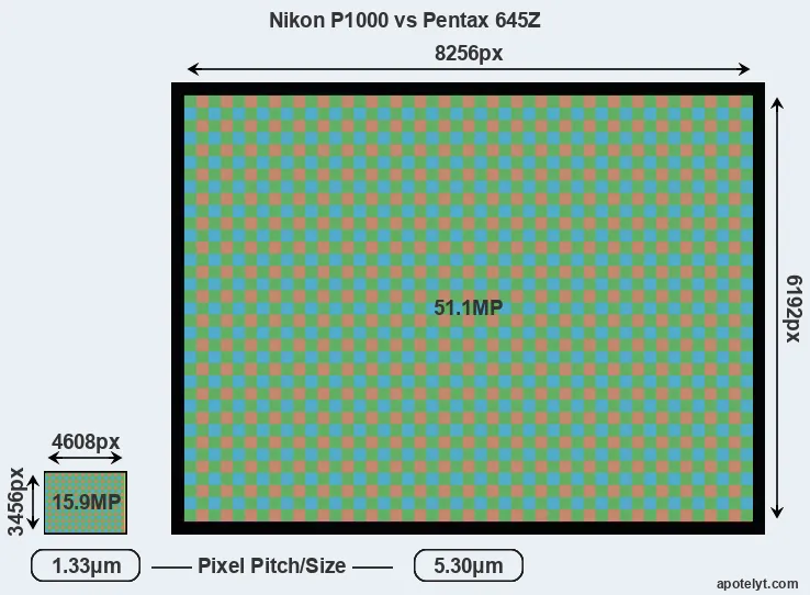 P1000 versus 645Z MP