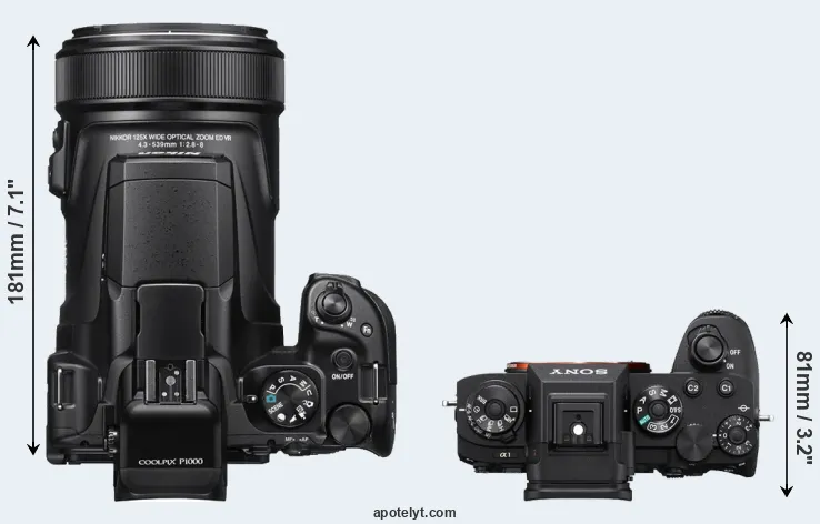 Compare P1000 versus A1 top