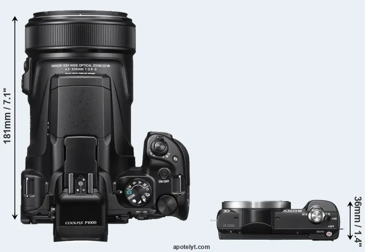 Compare P1000 versus A5000 top