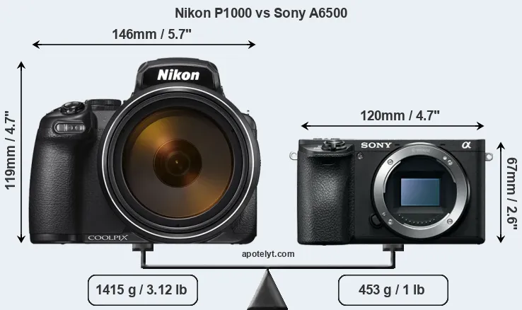 Size Nikon P1000 vs Sony A6500