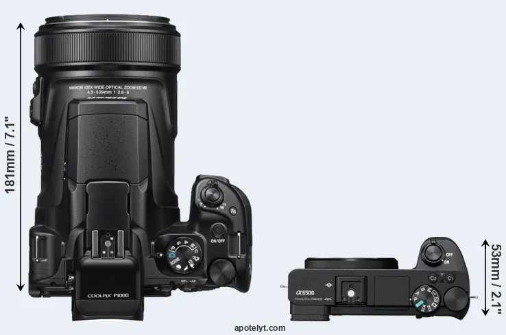 Compare P1000 versus A6500 top