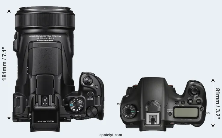 Compare P1000 versus A68 top