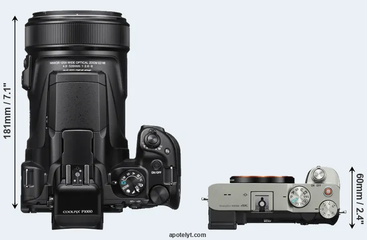 Compare P1000 versus A7C top