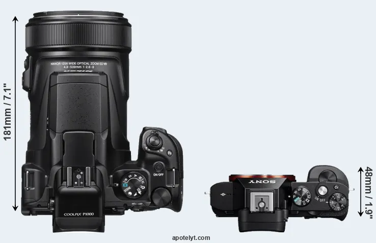 Compare P1000 versus A7R top