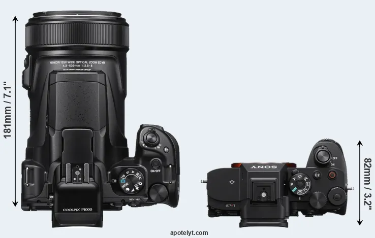 Compare P1000 versus A7R V top