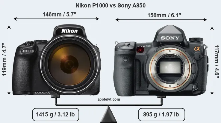 Size Nikon P1000 vs Sony A850