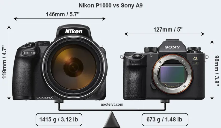 Size Nikon P1000 vs Sony A9
